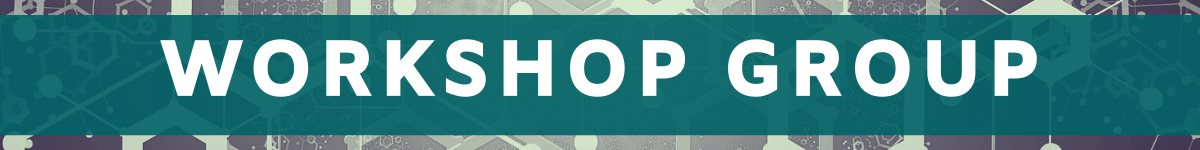 Workshop Group banner