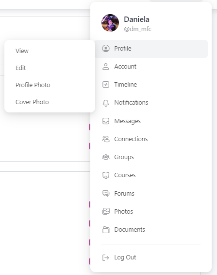Profile navigation menu screenshot