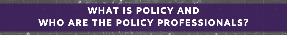 What is policy and who are the policy professionals?